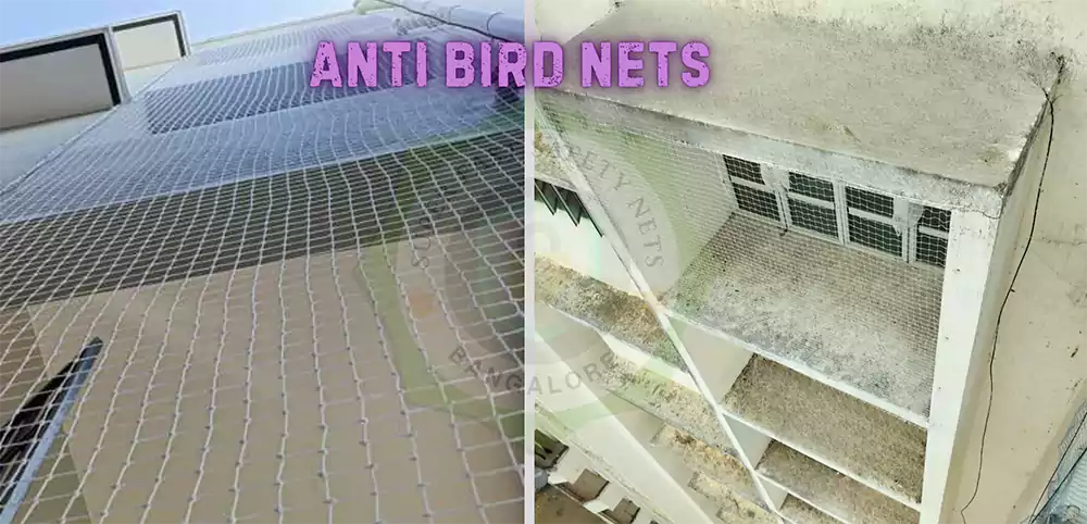 Anti Bird Nets in Bangalore