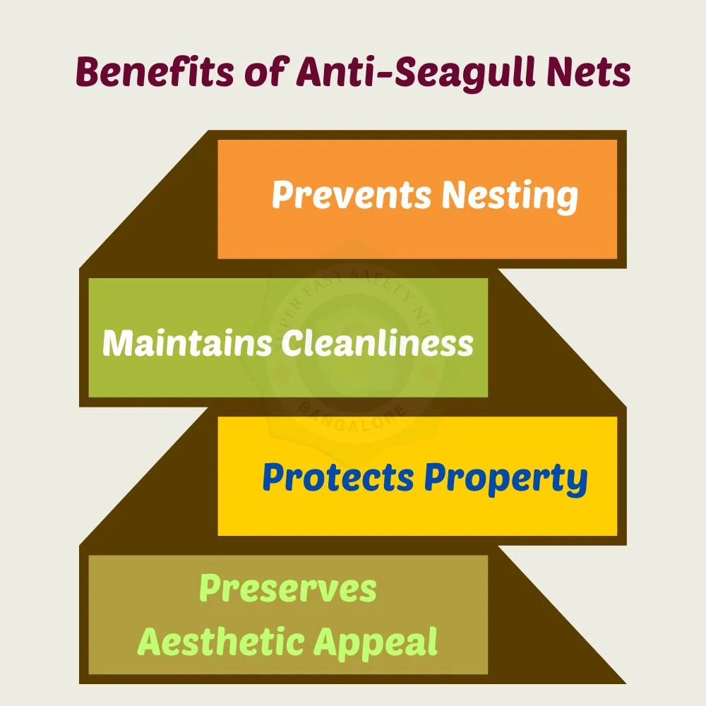 Why We Need Anti Seagull Nets Installation