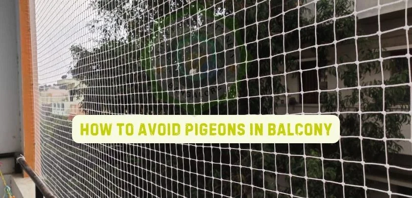 How to avoid Pigeons in Balcony