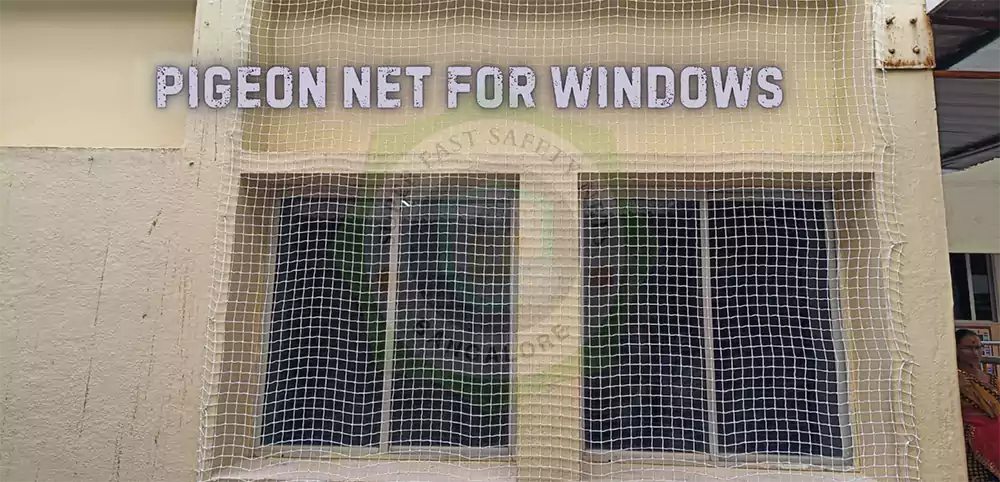 Pigeon Net for Windows