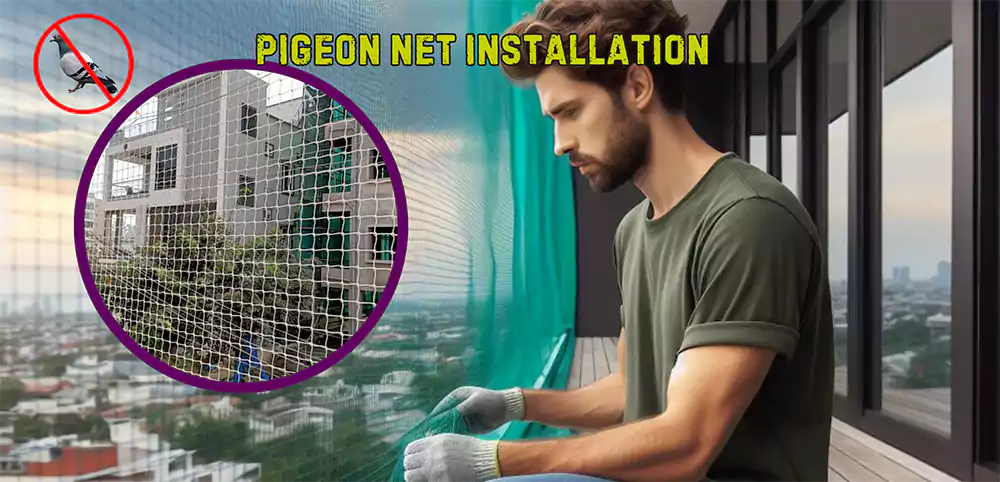 Pigeon Net Installation Nearby
