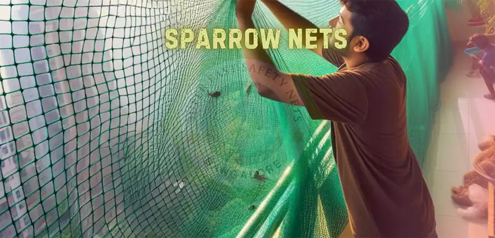 Sparrow Nets in Bangalore