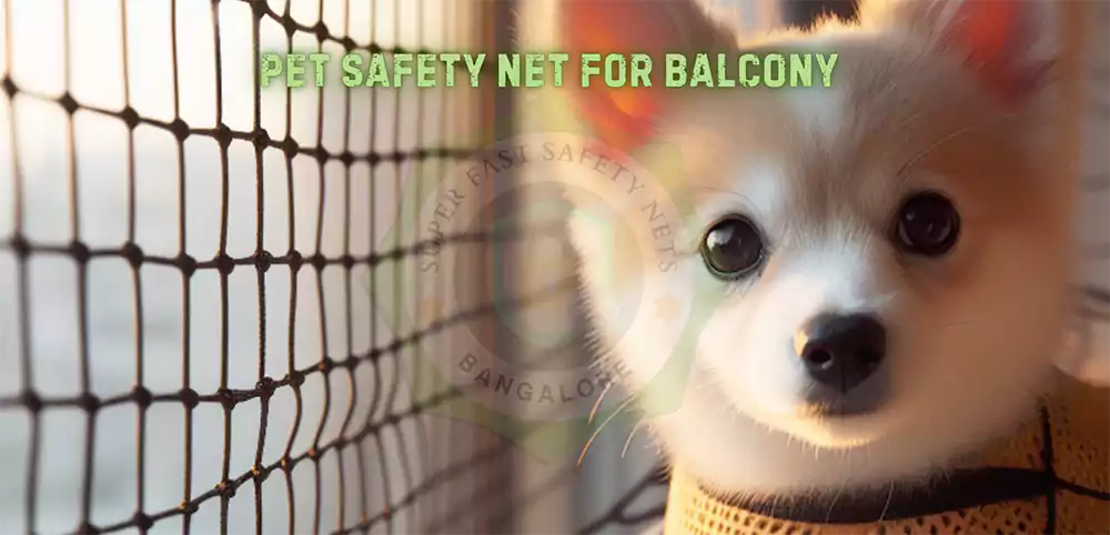 Pet Safety Nets in Bangalore